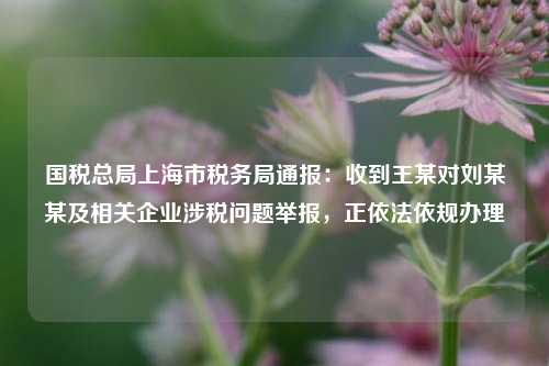 国税总局上海市税务局通报：收到王某对刘某某及相关企业涉税问题举报	，正依法依规办理  第1张