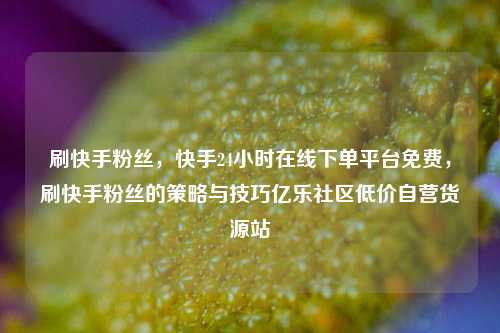 刷快手粉丝，快手24小时在线下单平台免费	，刷快手粉丝的策略与技巧亿乐社区低价自营货源站  第1张