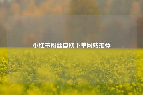 小红书粉丝自助下单网站推荐  第1张