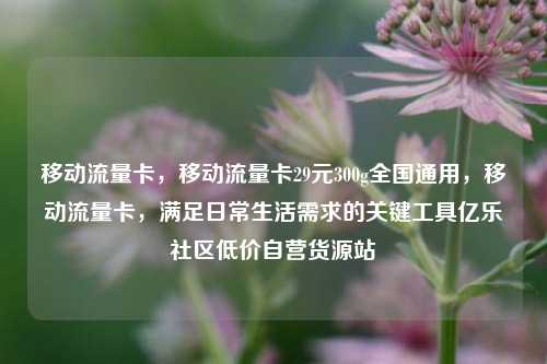 移动流量卡，移动流量卡29元300g全国通用	，移动流量卡，满足日常生活需求的关键工具亿乐社区低价自营货源站  第1张