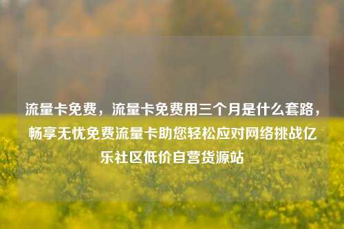 流量卡免费	，流量卡免费用三个月是什么套路，畅享无忧免费流量卡助您轻松应对网络挑战亿乐社区低价自营货源站  第1张