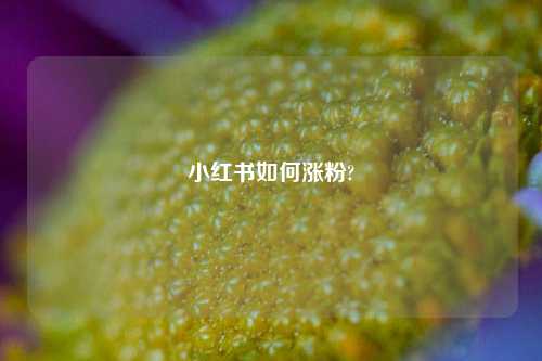 小红书如何涨粉?  第1张