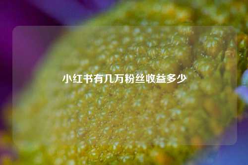小红书有几万粉丝收益多少  第1张