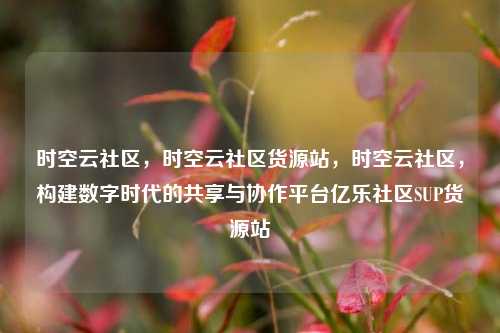 时空云社区，时空云社区货源站，时空云社区	，构建数字时代的共享与协作平台亿乐社区SUP货源站  第1张