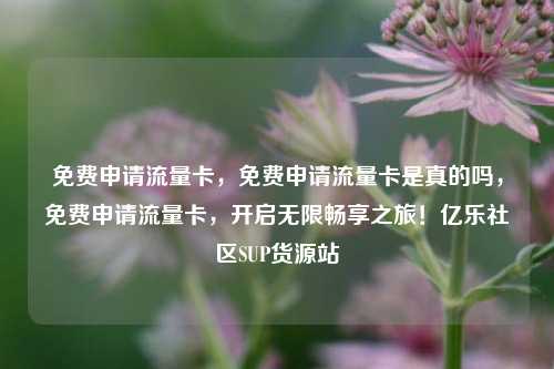 免费申请流量卡，免费申请流量卡是真的吗	，免费申请流量卡，开启无限畅享之旅！亿乐社区SUP货源站  第1张