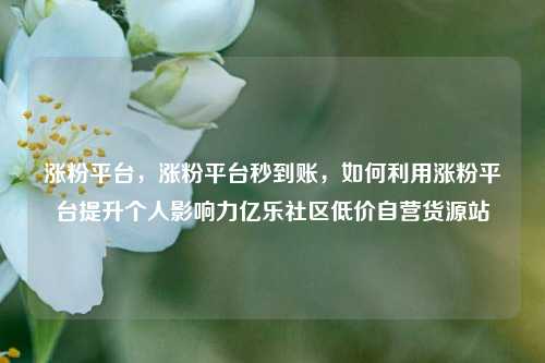 涨粉平台，涨粉平台秒到账，如何利用涨粉平台提升个人影响力亿乐社区低价自营货源站  第1张