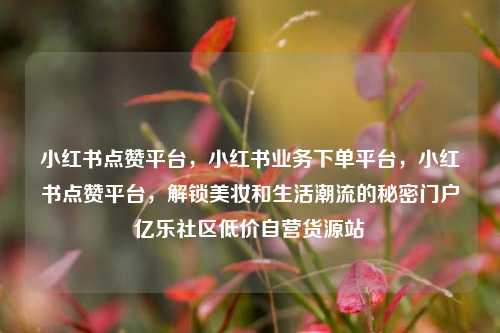 小红书点赞平台，小红书业务下单平台，小红书点赞平台	，解锁美妆和生活潮流的秘密门户亿乐社区低价自营货源站  第1张