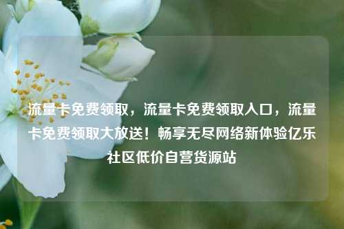 流量卡免费领取，流量卡免费领取入口，流量卡免费领取大放送！畅享无尽网络新体验亿乐社区低价自营货源站  第1张