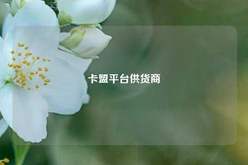 卡盟平台供货商  第1张