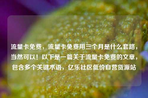 流量卡免费，流量卡免费用三个月是什么套路	，当然可以！以下是一篇关于流量卡免费的文章，包含多个关键术语，亿乐社区低价自营货源站  第1张