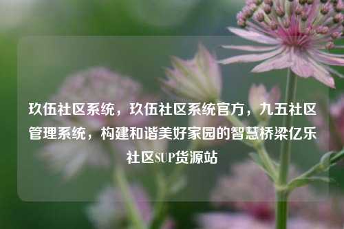玖伍社区系统	，玖伍社区系统官方，九五社区管理系统，构建和谐美好家园的智慧桥梁亿乐社区SUP货源站  第1张