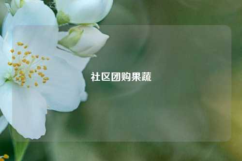 社区团购果蔬  第1张