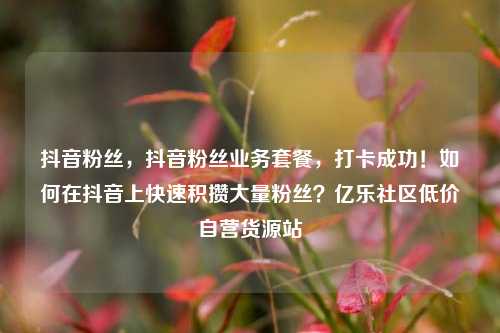 抖音粉丝，抖音粉丝业务套餐	，打卡成功！如何在抖音上快速积攒大量粉丝？亿乐社区低价自营货源站  第1张