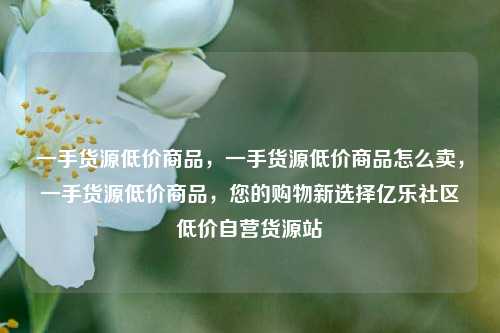 一手货源低价商品	，一手货源低价商品怎么卖，一手货源低价商品，您的购物新选择亿乐社区低价自营货源站  第1张