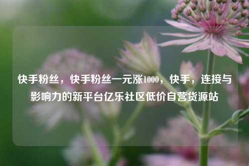 快手粉丝，快手粉丝一元涨1000，快手	，连接与影响力的新平台亿乐社区低价自营货源站  第1张