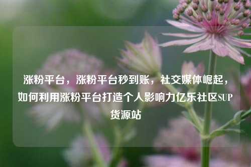 涨粉平台，涨粉平台秒到账	，社交媒体崛起，如何利用涨粉平台打造个人影响力亿乐社区SUP货源站  第1张