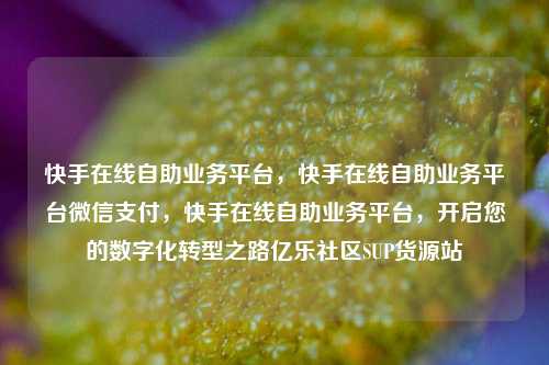 快手在线自助业务平台，快手在线自助业务平台微信支付，快手在线自助业务平台，开启您的数字化转型之路亿乐社区SUP货源站  第1张