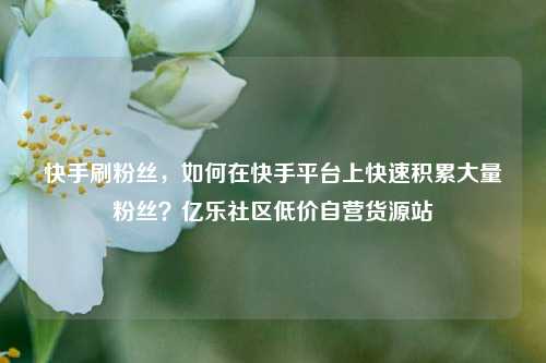 快手刷粉丝	，如何在快手平台上快速积累大量粉丝？亿乐社区低价自营货源站  第1张
