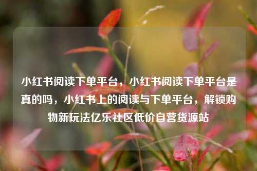 小红书阅读下单平台，小红书阅读下单平台是真的吗	，小红书上的阅读与下单平台，解锁购物新玩法亿乐社区低价自营货源站  第1张