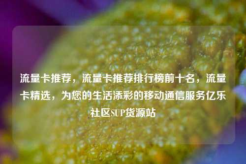 流量卡推荐，流量卡推荐排行榜前十名，流量卡精选	，为您的生活添彩的移动通信服务亿乐社区SUP货源站  第1张