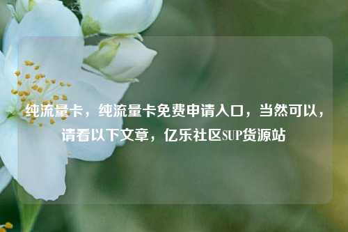 纯流量卡	，纯流量卡免费申请入口，当然可以，请看以下文章，亿乐社区SUP货源站  第1张