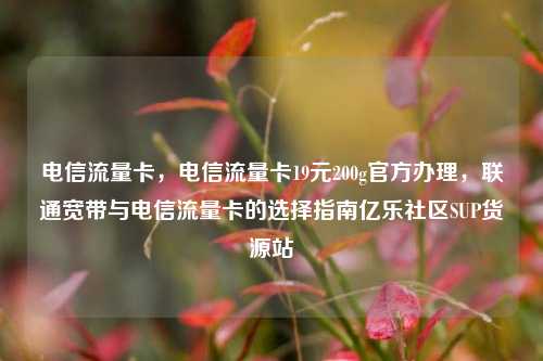 电信流量卡，电信流量卡19元200g官方办理，联通宽带与电信流量卡的选择指南亿乐社区SUP货源站  第1张