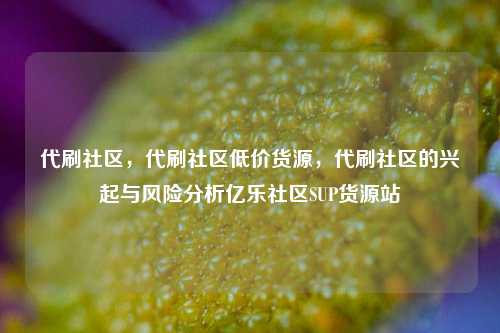 代刷社区，代刷社区低价货源，代刷社区的兴起与风险分析亿乐社区SUP货源站  第1张