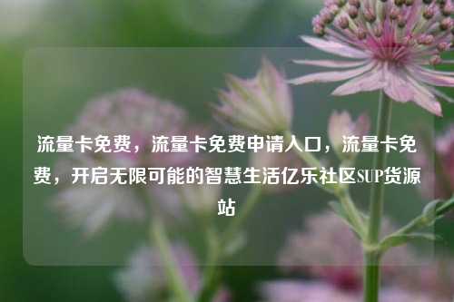 流量卡免费，流量卡免费申请入口，流量卡免费	，开启无限可能的智慧生活亿乐社区SUP货源站  第1张