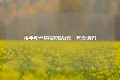 快手粉丝购买网站3元一万靠谱吗  第1张