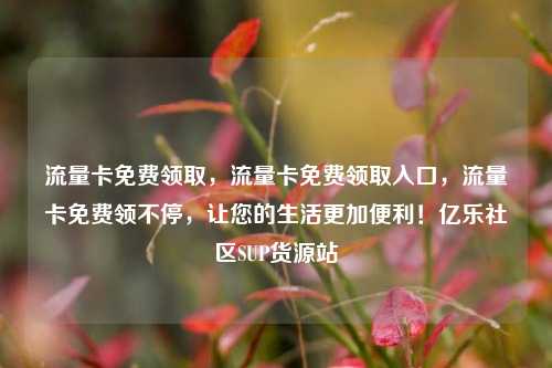流量卡免费领取，流量卡免费领取入口，流量卡免费领不停	，让您的生活更加便利！亿乐社区SUP货源站  第1张