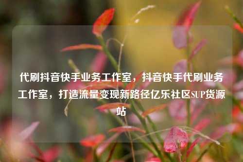 代刷抖音快手业务工作室	，抖音快手代刷业务工作室，打造流量变现新路径亿乐社区SUP货源站  第1张