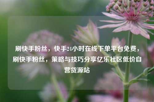 刷快手粉丝，快手24小时在线下单平台免费，刷快手粉丝	，策略与技巧分享亿乐社区低价自营货源站  第1张