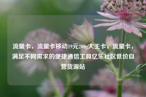 流量卡，流量卡移动19元200g大王卡	，流量卡，满足不同需求的便捷通信工具亿乐社区低价自营货源站  第1张