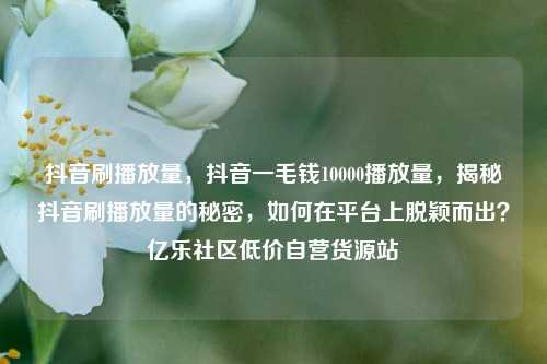 抖音刷播放量	，抖音一毛钱10000播放量，揭秘抖音刷播放量的秘密，如何在平台上脱颖而出？亿乐社区低价自营货源站  第1张