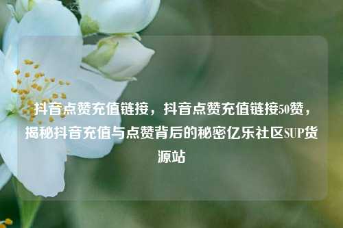 抖音点赞充值链接，抖音点赞充值链接50赞，揭秘抖音充值与点赞背后的秘密亿乐社区SUP货源站  第1张