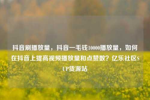 抖音刷播放量，抖音一毛钱10000播放量，如何在抖音上提高视频播放量和点赞数？亿乐社区SUP货源站  第1张