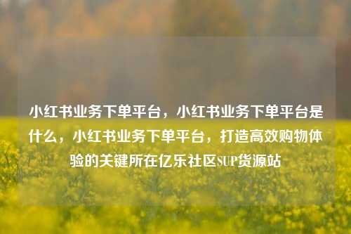 小红书业务下单平台	，小红书业务下单平台是什么，小红书业务下单平台，打造高效购物体验的关键所在亿乐社区SUP货源站  第1张