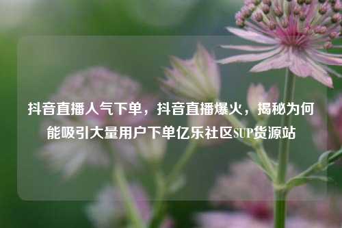 抖音直播人气下单，抖音直播爆火	，揭秘为何能吸引大量用户下单亿乐社区SUP货源站  第1张